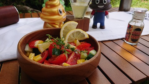 110-95(9-9)高原の里84