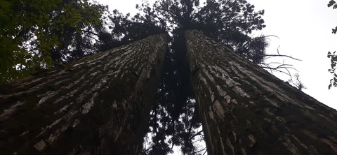 227-210(16-15)スノーピーク奥日田902_131925