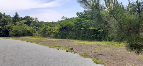 266-247(3-3)天空の杜601_121352