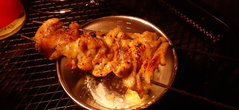 268-248(5-4)岳切渓谷キャンプ場615_202528