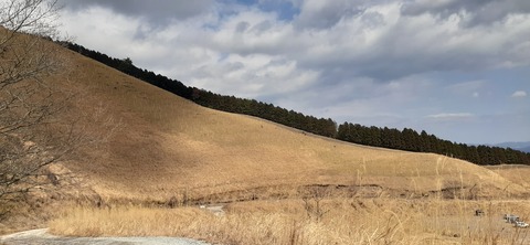 251-232(40-37)伽藍岳ゲリラキャン303_124207