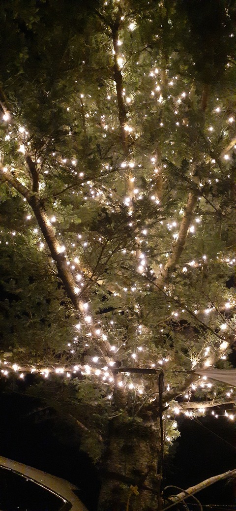 205-189(47-46)ラピュタファーム422_215605