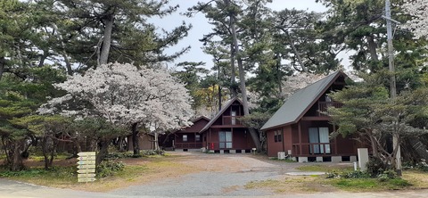 203-187(45-44)長崎鼻リゾートキャンプ場401_131033