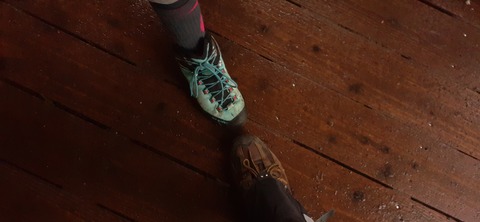 260-241(49-46)宮之浦岳淀川小屋501_075807