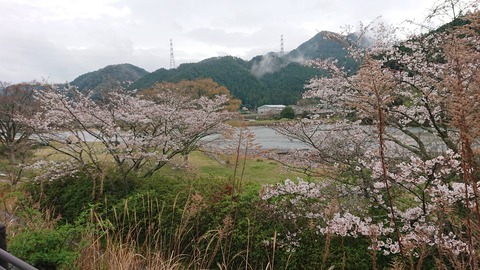 91,92-77,78(46,47-41,42)阿武川河川公園219S