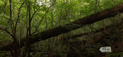 227-210(16-15)スノーピーク奥日田902_131618