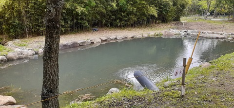 216-200(5-5)山鳥の森623_131835