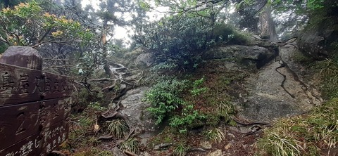 260-241(49-46)宮之浦岳淀川小屋501_085522