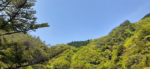 155-140(54-54)うめキャンプ村504_105615