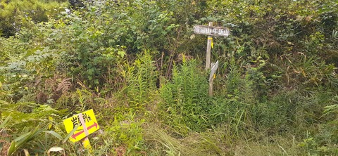 231-214(20-19)牛斬山1001_144506