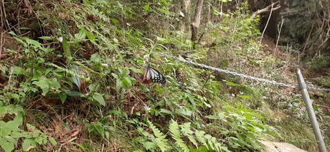 227-210(16-15)スノーピーク奥日田902_121128