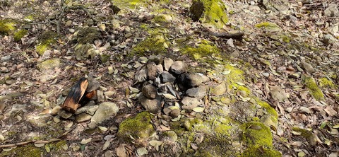 202-186(44-43)八木山渓流公園325_111929