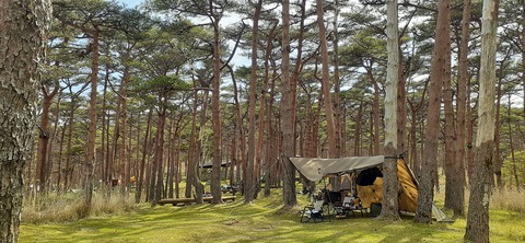 209-193(51-50)えびの高原キャンプ村503_151743