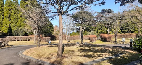 240-223(29-28)ひなもりキャンプ場1124_141815