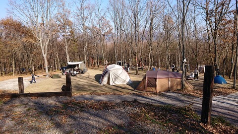 126-111(25-25)CAMP✕WOODS386