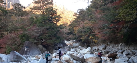 236-219(25-24)大崩山1104_065318