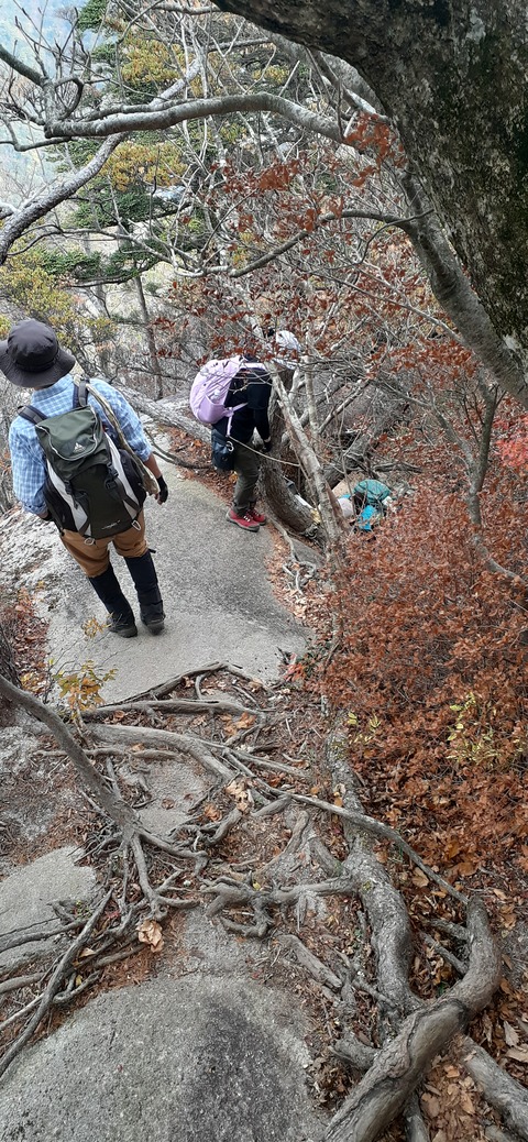 236-219(25-24)大崩山1104_142201