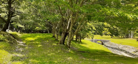 211-195(53-52)猿ヶ城キャンプ場505_130723