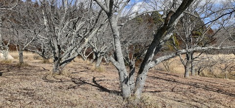 249-230(38-35)RECAMP志高湖210_144202