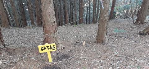 251-232(40-37)大坂山障子ヶ岳218_085450