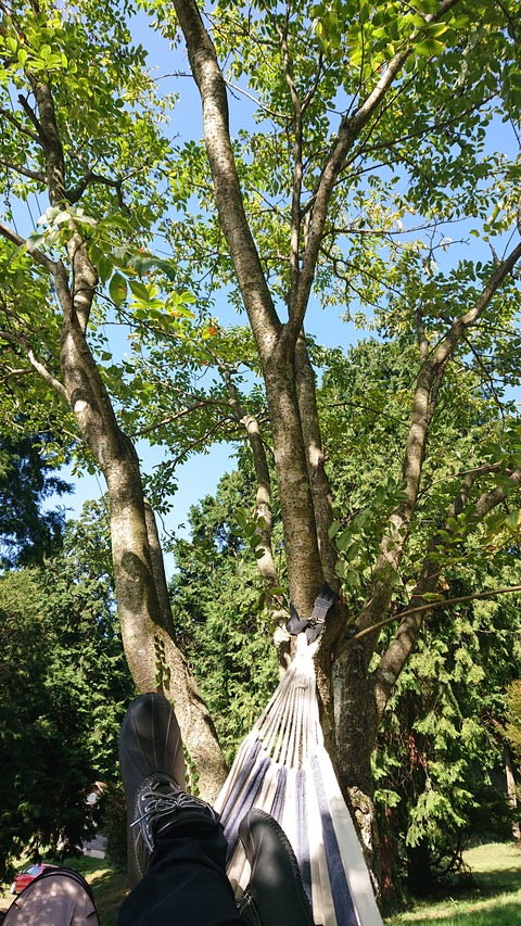 19-16お牧山公園キャンプ場585