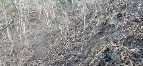 251-232(40-37)大坂山障子ヶ岳218_101323