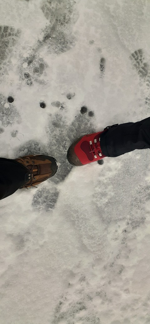 238-221(27-26)法華院温泉山荘1118_101236