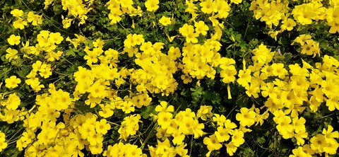 254-235(43-40)長崎鼻リゾート②330_120211