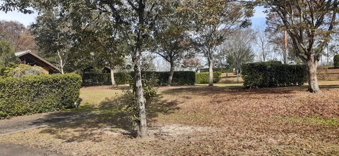 237-220(26-25)るるパーク1111_122127