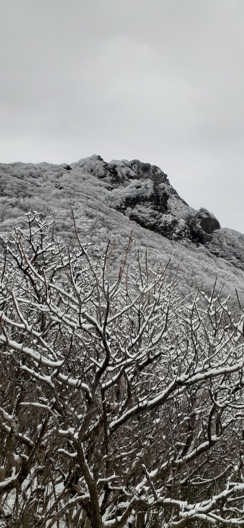 251-232(40-37)法華院温泉山荘2泊目224_100005