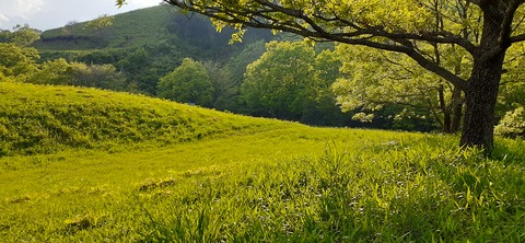 159-144(1-1)遊牧民521_172035