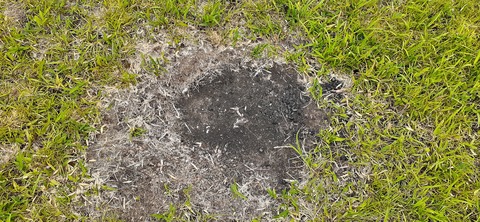 159-144(1-1)遊牧民521_115605