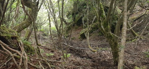 266-247(3-3)天空の杜602_083451