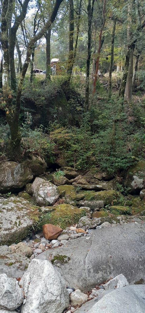 236-219(25-24)祝子川キャンプ場1105_082020