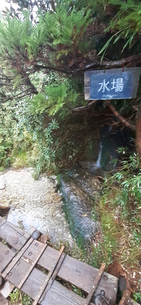 260-241(49-46)宮之浦岳淀川小屋501_142555