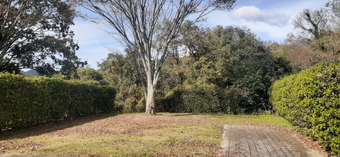 237-220(26-25)るるパーク1111_121929