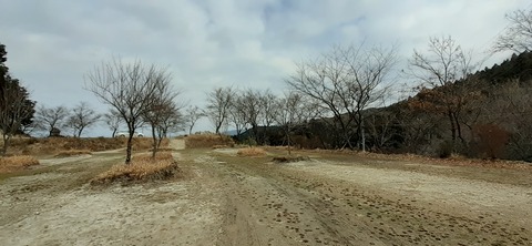 138-123(37-37)sleepy cafe nico22_131052