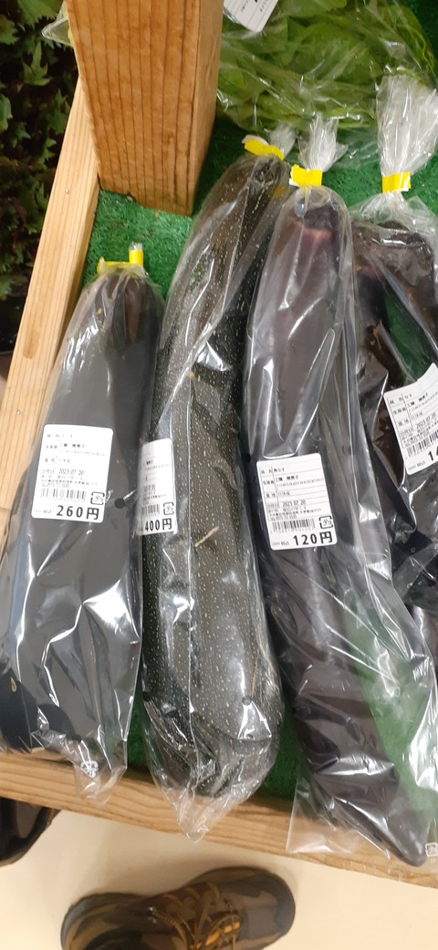 220-203(9-8)ゴンドーシャロレー722_120423