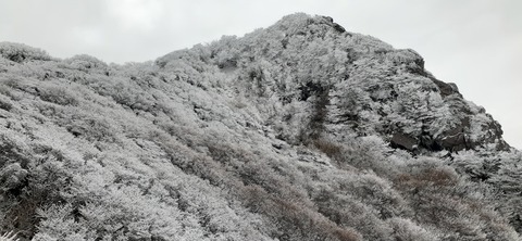 251-232(40-37)法華院温泉山荘2泊目224_101143