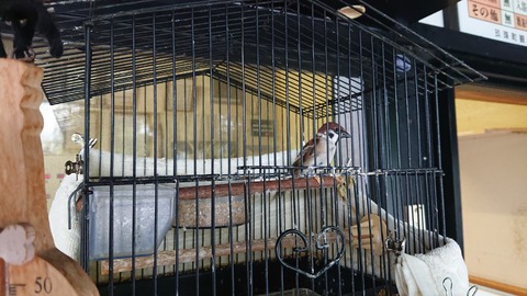 112-97(11-11)坊ガツルキャンプ場375