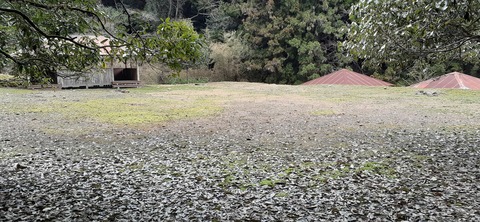 202-186(44-43)八木山渓流公園325_124127