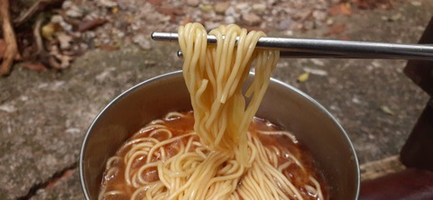 259-240(48-45)宮之浦岳新高塚小屋430_100942