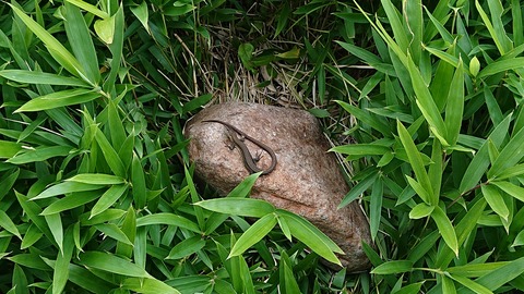 112-97(11-11)坊ガツルキャンプ場288