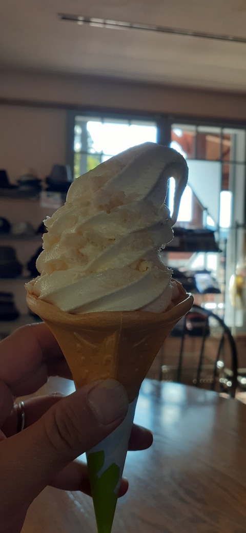 182-166(24-23)長湯きらりキャンプ場1105_123109