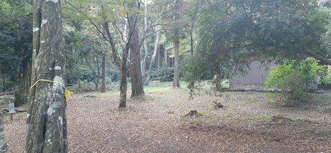 234-217(23-22)広川原キャンプ場1028_131103