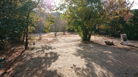 74-61(29-25)千防川砂防公園キャンプ場709