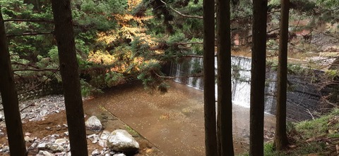 182-166(24-23)牧の原キャンプ場2回目1113_103101