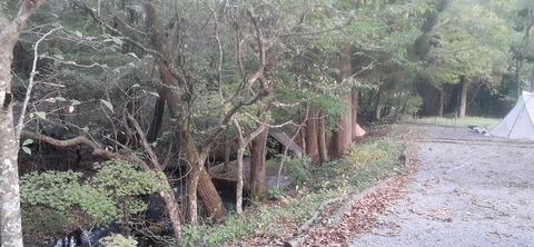 233-216(22-21)9.BASE1015_062839