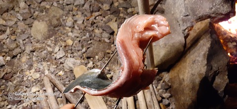 131-116(30-30)大島津和瀬キャンプ場74543