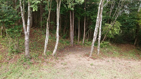 122-107(21-21)阿蘇レインボーバレー789